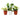 3 Different Peperomia Plants in 4" Pots - Baby Rubber Plants - House Plant Shop