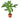Chinese Evergreen 'Silver Bay' - 6" Pot - NURSERY POT ONLY