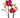 Orchid 'Red Phalaenopsis'