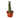 Snake Plant Braided - 4" Pot - NURSERY POT ONLY