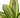 Snake Plant Gold Hahnii - 6" Pot - NURSERY POT ONLY