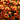 Orange Chrysanthemums