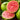 Ruby Supreme Guava Tree