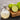 Persian 'Bearss' Lime Tree