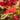 Winner's Circle Climbing Rose