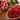 Cold Hardy Red Pomegranate