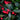 American Wintergreen