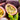 Passion Fruit