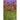 Li'l Bang™ Red Elf Coreopsis