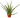 Aloe Vera - 6" Pot - NURSERY POT ONLY