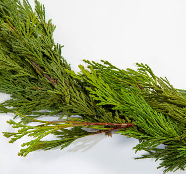 25 ft. Cedar Garland
