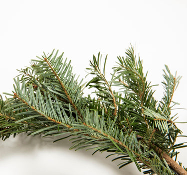 25 ft. Fraser Fir Garland