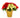 Red/White Holiday Poinsettia (Large)