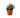 Snake Plant Silver Streak