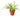Spider Plant Reverse - 4" Pot - NURSERY POT ONLY