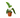 Philodendron 'Florida Green'