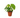Philodendron 'Fuzzy Petiole'