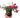 Purslane