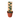 Rhaphidophora 'Hayi' (Shingle Plant)