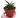 Snake 'Lavranos'