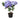 Blue Hydrangea