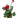 Geranium Red