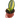 Variegated Shark Fin Snake Plant