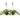 2 English Ivy Variety Pack - FREE Care Guide - 6" Hanging Pot - House Plant Shop