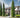 Italian Cypress