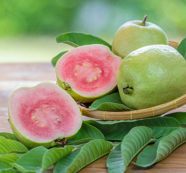 'Barbie Pink' Guava