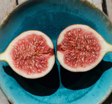 Fig Orchard Pack