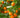 California Honey Mandarin Tree fruit