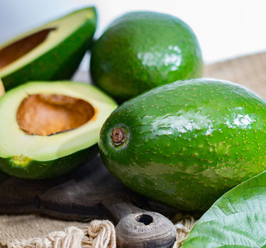 Cold Hardy Avocado Tree