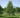 Dura Heat® Birch Tree