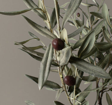 Faux Olive Tree
