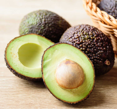 Hass Avocado Tree