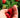 Heritage Raspberry