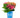 Tilt-A-Swirl® Hydrangea