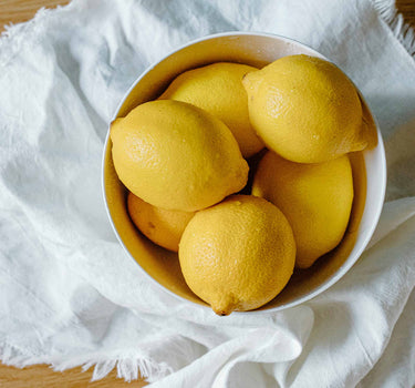 Improved Meyer Lemon Bush