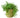 Pepe Planter - 6.5 Inch