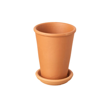 New Plant Parent Bundle