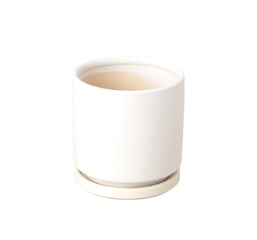 Cylinder Pot - 4 and 6 Inch