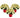 White Holiday Poinsettia (3-Pack)