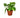 Pothos 'Golden' - 4" Pot - NURSERY POT ONLY
