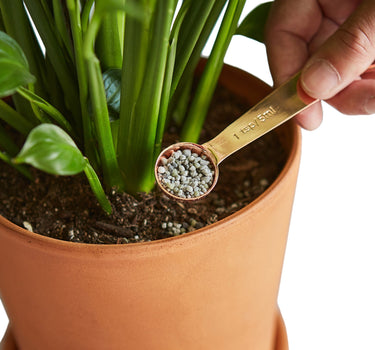 Pellet Fertilizer/Indoor House Plant Food - Small