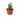 Fairy Castle Cactus