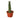 Snake Plant Braided