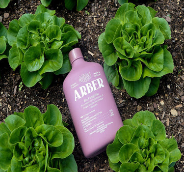 Bio Fungicide - Arber
