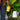Bio Insecticide - Arber