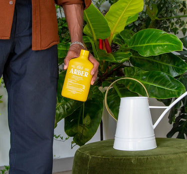 Bio Insecticide - Arber